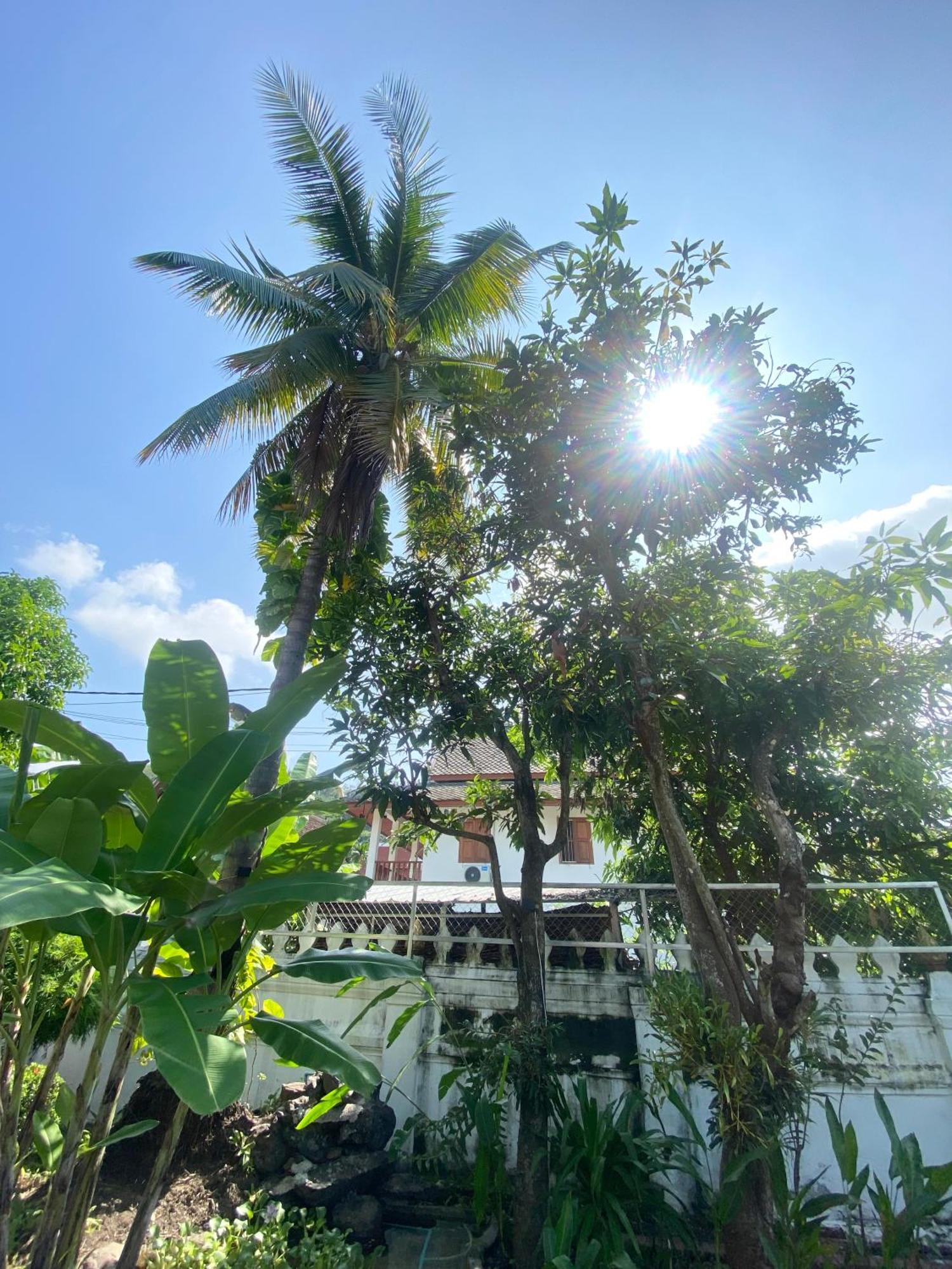 Luang Prabang Residence & Travel Екстериор снимка
