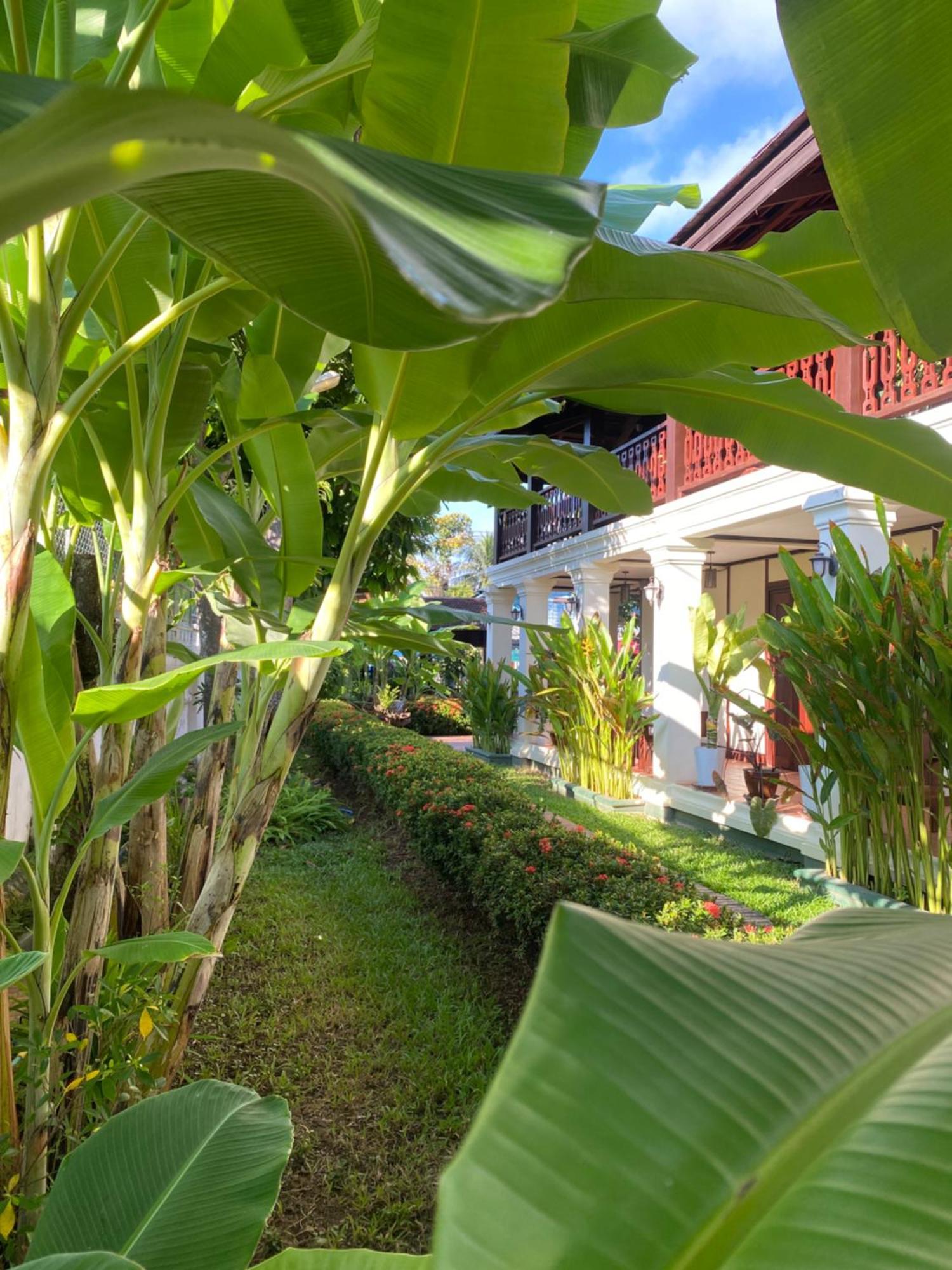 Luang Prabang Residence & Travel Екстериор снимка