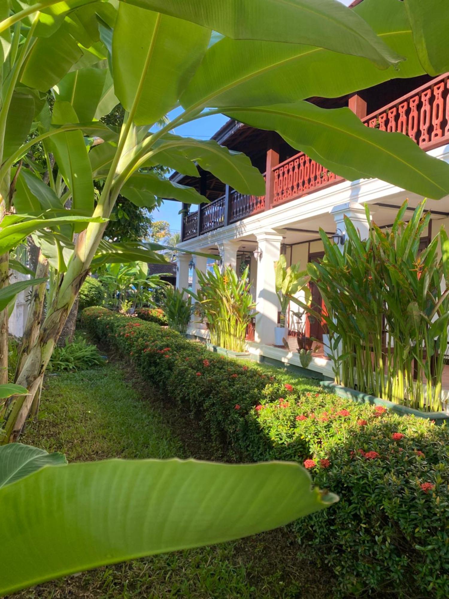 Luang Prabang Residence & Travel Екстериор снимка
